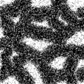 Hmax (h=30) du pavage bruité