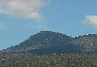 Vue du mont Arthur depuis Lilydale.