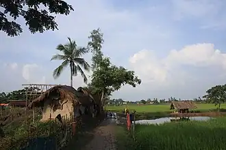 Basanti