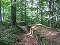 Rempart de Sarmizégétuse