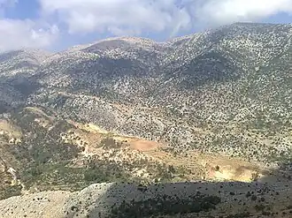 Niha (ville)