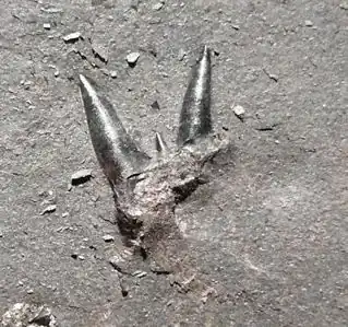 Description de cette image, également commentée ci-après