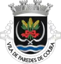 Blason de Paredes de Coura