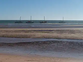 le Parc national du banc d'Arguin