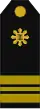 sans cadre