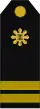 sans cadre