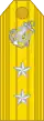 sans cadre