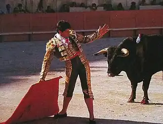 Image illustrative de l’article Paco Ojeda