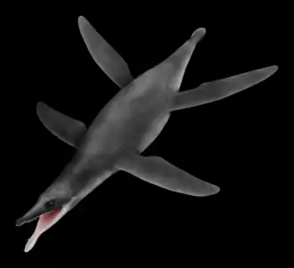 Illustration montrant à quoi Peloneustes aurait pu ressembler de son vivant.