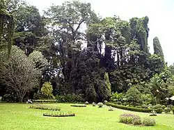 Vue du jardin