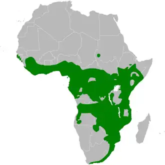 Description de l'image Phyllastrephus distribution map.png.