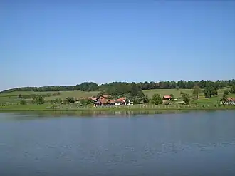Podgarić