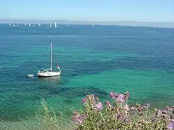 Paysage porquerollais.