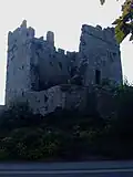 Château de Portaferry.