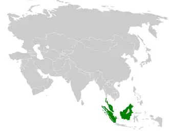 Description de l'image Pycnonotus brunneus distribution map.png.