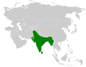 Description de l'image Pycnonotus cafer distribution map.png.
