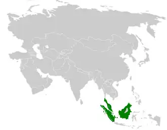 Description de l'image Pycnonotus erythropthalmos distribution map.png.