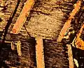 Vue au microscope à lumière polarisée d'une coupe mince d'un grain d'orthopyroxene contenant une solution solide d'augite (0,5&nbsp;mm).