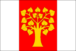 Drapeau de Rakov