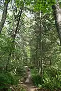 Un chemin d'accès
