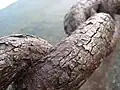Une proxiphotographie d'une chaîne rouillée, montrant des craquelures.