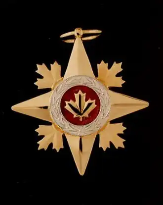 Image illustrative de l’article Étoile de la vaillance militaire