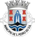 Blason de São Pedro do Sul