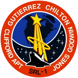 Insigne de la mission