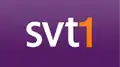 Logo de SVT1 du 25 août 2008 au 4 mars 2012.