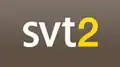 Logo de SVT2 du 25 août 2008 au 4 mars 2012.