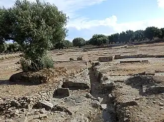 Pavage en opus spicatum.