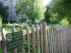 Semis du patrimoine vivant de la galerie de Botanique, dans le « clos Patouillet », ancienne propriété de Buffon voisine de la Galerie.
