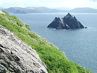 Little Skellig vue depuis Skellig Michael.
