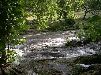Spring Branch (comté de Comal, Texas)