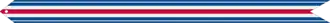 Ruban de la médaille