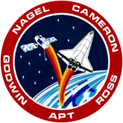 Insigne de la mission