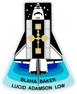 Insigne de la mission