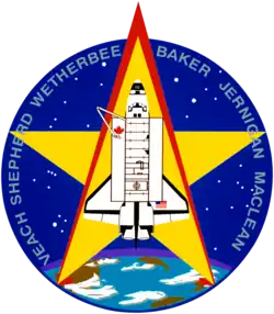 Insigne de la mission