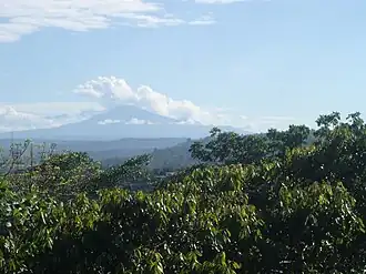 Le Sumaco aperçu depuis Tena