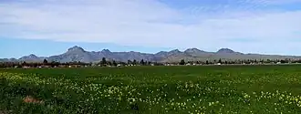 Vue générale des Sutter Buttes.