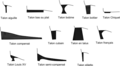 Différents types de talons. (Cliquer dessus pour agrandir).