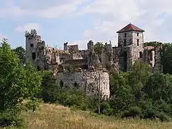 Château de Tenczyn.