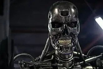 Image de l'endosquelette du Terminator.
