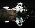 Vue nocturne du château.