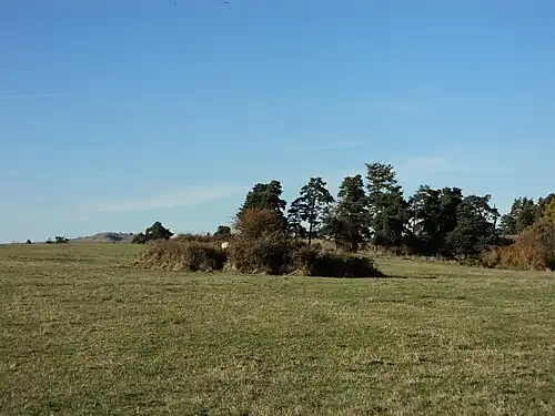 Tumulus sur la parcelle ZH 3 (45°&nbsp;02′&nbsp;39″&nbsp;N, 3°&nbsp;06′&nbsp;54″&nbsp;E)