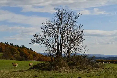 Tumulus sur la parcelle ZE 24 (45°&nbsp;02′&nbsp;42″&nbsp;N, 3°&nbsp;07′&nbsp;14″&nbsp;E)