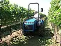 Tracteur Valiant.