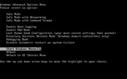Description de l'image Windows Advanced Options menu.png.