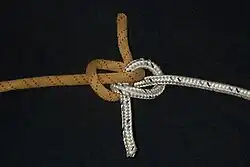 Verso