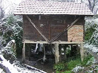 Ježeštica
